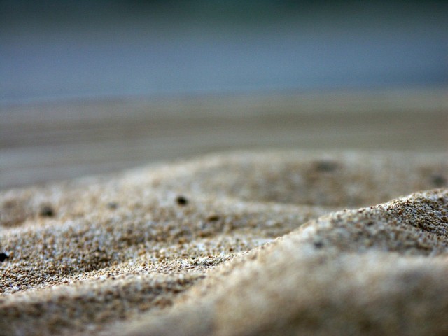 Sand Macro