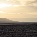 Desert Afternoon